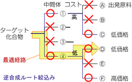 CASSによる技術サポート